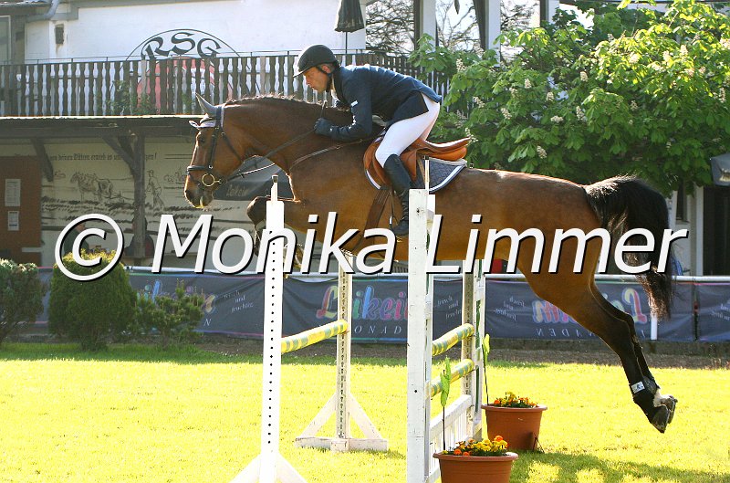 005M3715_Urmel_Springpferde A_e.jpg